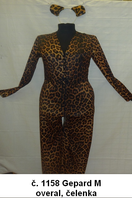Gepard